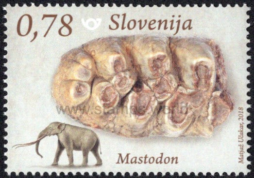 Slovenia. 2018 Fossil Mammals. Mastodon. MNH