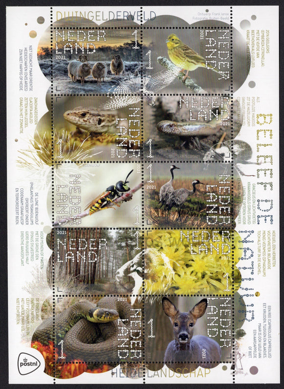 Netherlands. 2021 Experience Nature. Dwingelderveld National Park. MNH