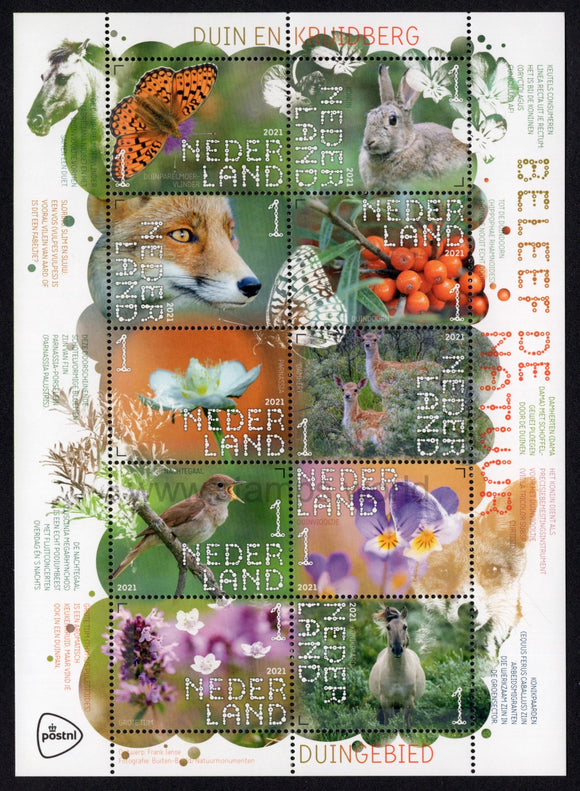 Netherlands. 2021 Experience Nature. Duin and Kruidberg. MNH