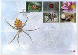 South Africa. 2004 Spiders. Set of 2 FDC