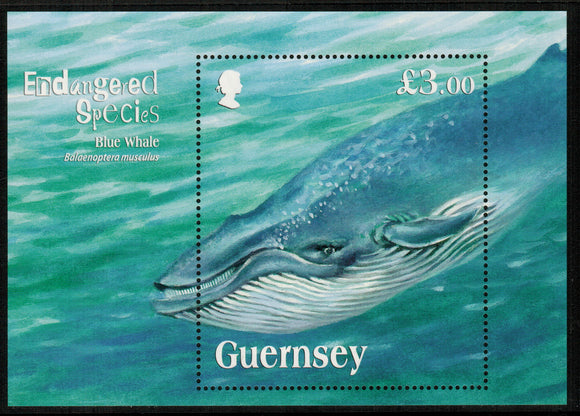 Guernsey. 2011 Endangered Species. Blue Whale. MNH