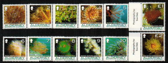 Alderney. 2006 Corals and Anemones. MNH
