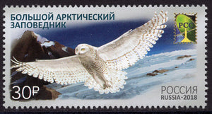 Russia. 2018 Great Arctic Nature Reserve. MNH
