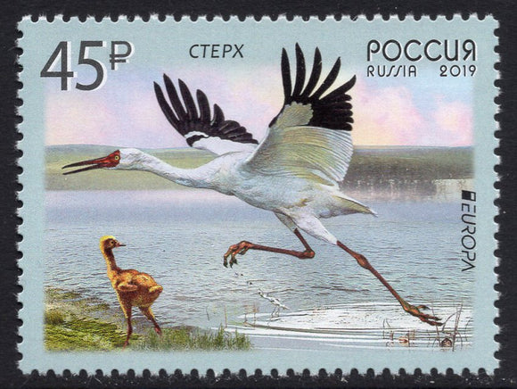 Russia. 2019 Europa. Birds. MNH