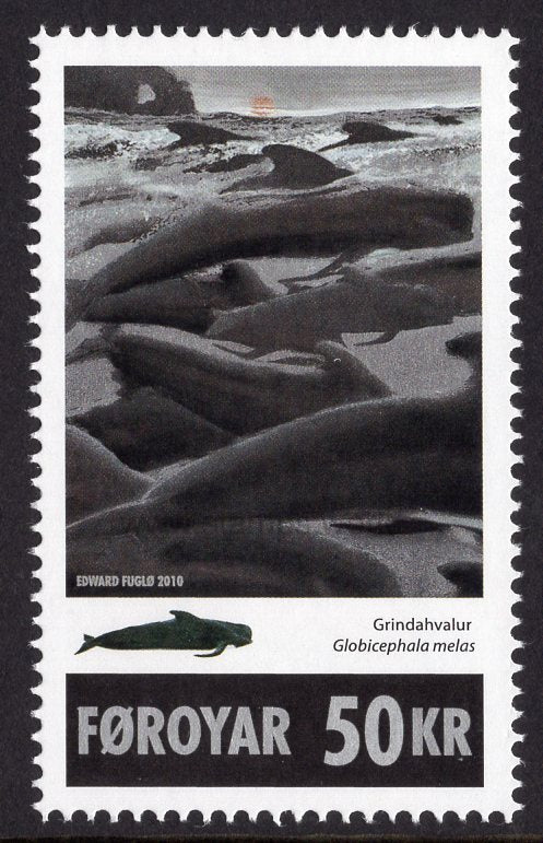 Faroe Islands. 2010 Pilotwhales. MNH
