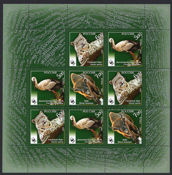 Russia. 2007 Endangered animals. MNH
