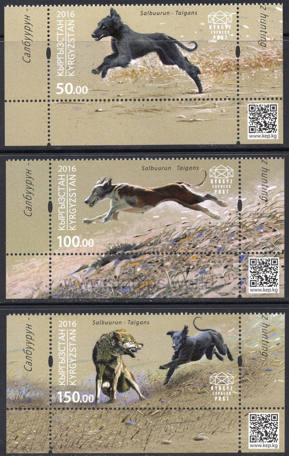 Kyrgyzstan. 2016 Salbuurun. Hunting. Taigans. MNH