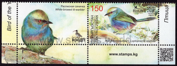 Kyrgyzstan. 2020 Bird of the Year. White-browed Tit-warbler. MNH