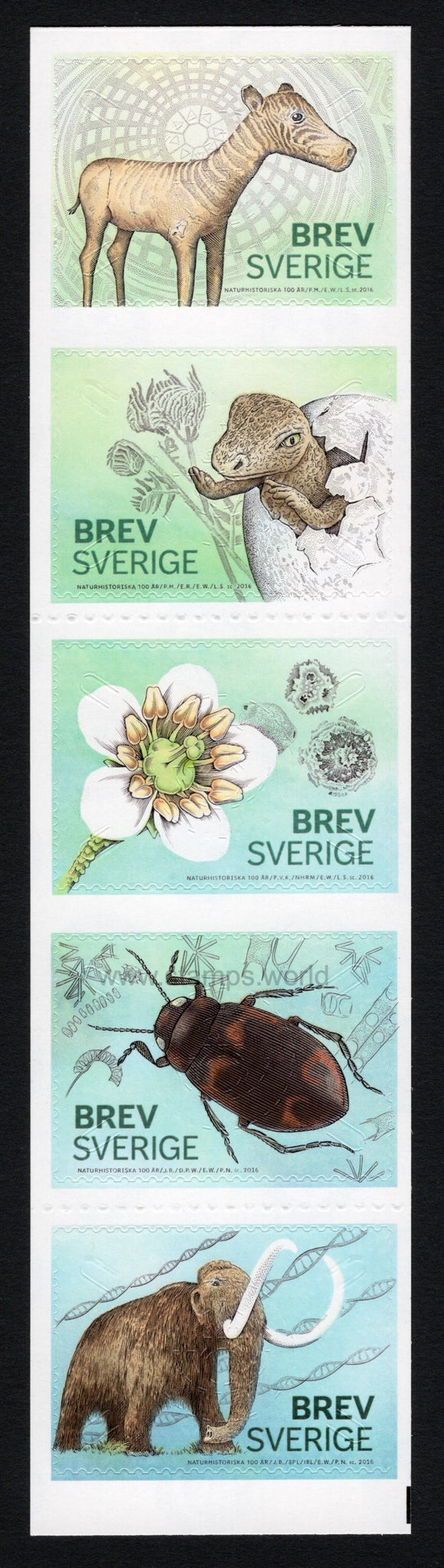 Sweden. 2016 Swedish Museum of Natural History. MNH