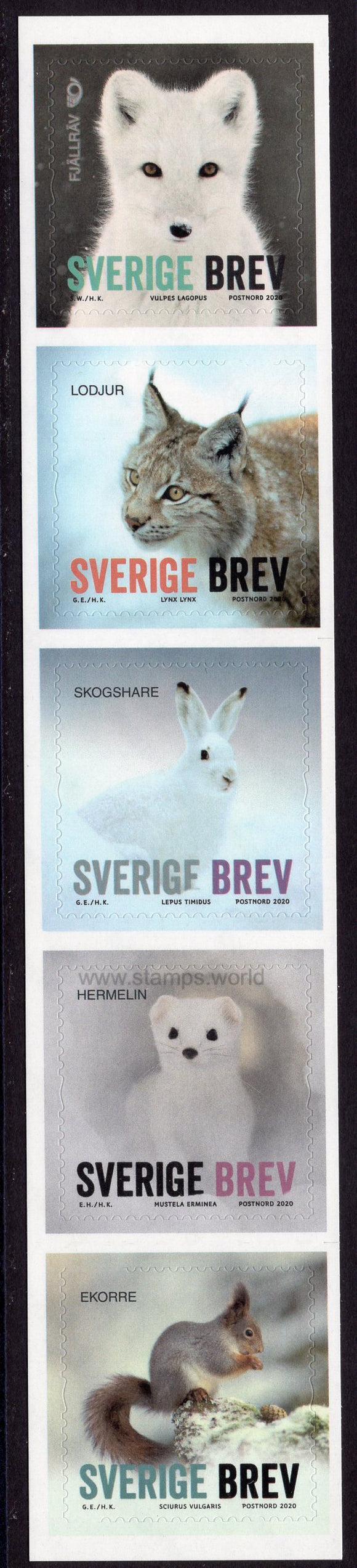 Sweden. 2020 Winter Animals. MNH