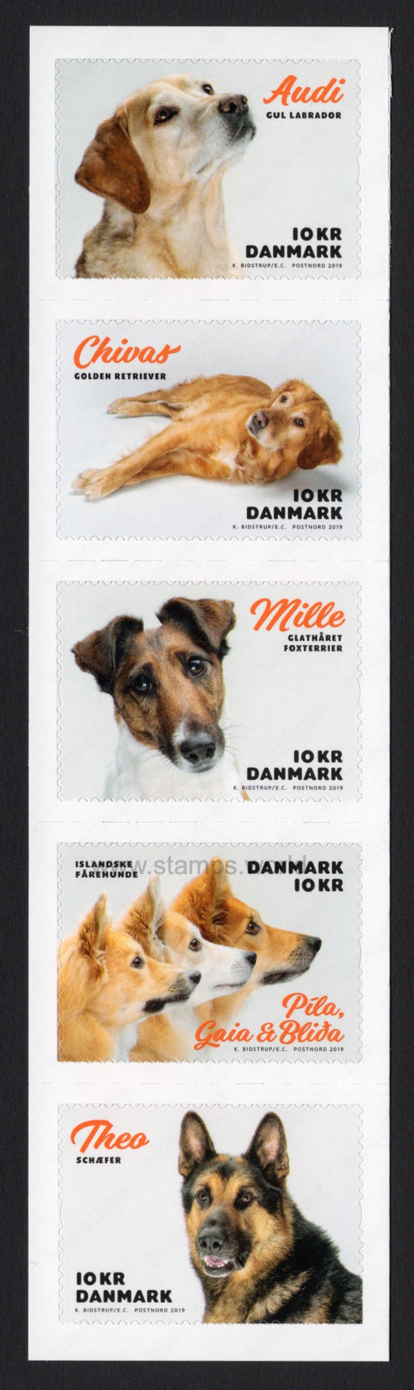 Denmark. 2019 My dog on a stamp. MNH