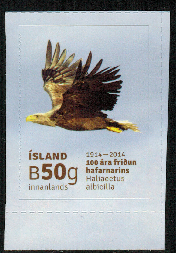 Iceland. 2014 The white-tailed eagle. MNH