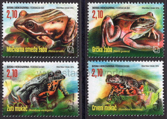 Bosnia and Herzegovina. Mostar. 2016 Fauna. Frogs. MNH