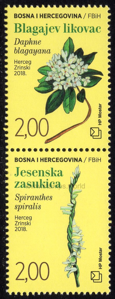 Bosnia and Herzegovina. Mostar. 2018 Flora. Daphne blagayana and Autumn lady's-tresses. MNH