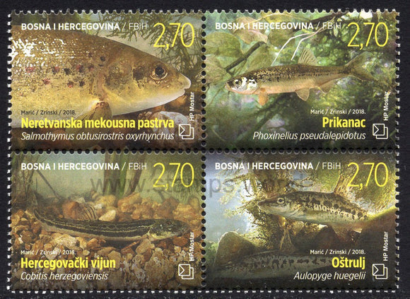 Bosnia and Herzegovina. Mostar. 2018 Fauna. Fish. MNH