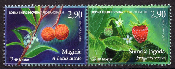 Bosnia and Herzegovina. Mostar. 2019 Flora. Maggie and Wild Strawberry. MNH
