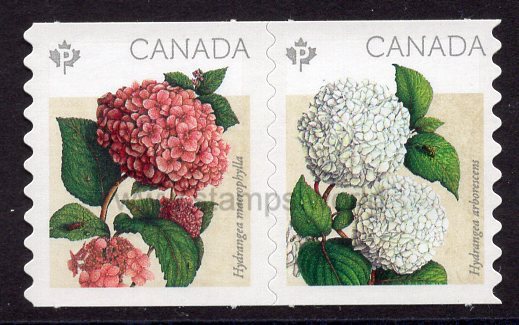 Canada. 2016 Flowers: Hydrangeas. MNH