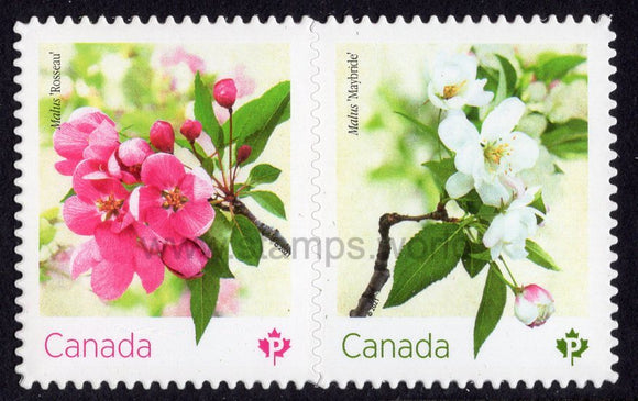 Canada. 2021 Flowers: Crabapple Blossoms. MNH