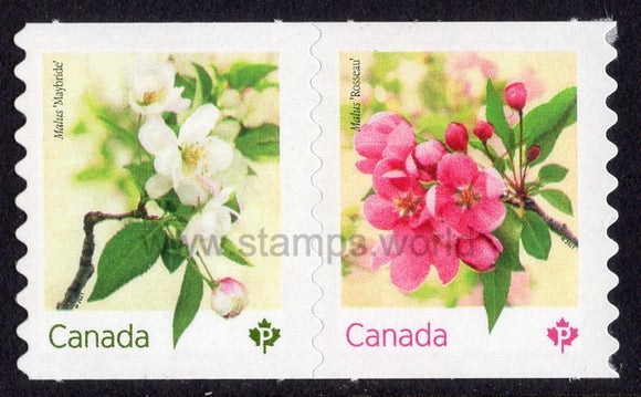 Canada. 2021 Flowers: Crabapple Blossoms. MNH