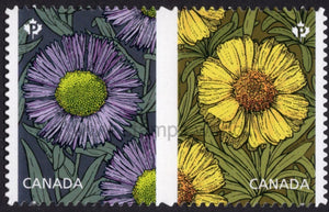 Canada. 2017 Flowers. Daisies. MNH