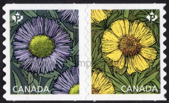 Canada. 2017 Flowers. Daisies. MNH