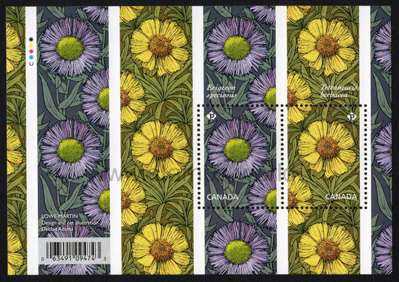 Canada. 2017 Flowers. Daisies. MNH