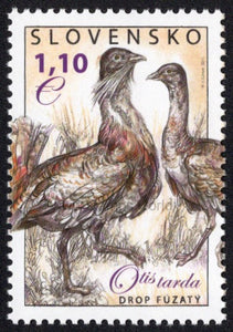 Slovakia. 2011 Nature Conservation. Great Bustard. MNH