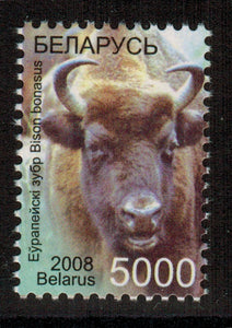 Belarus. 2008 Wild animals. European Bison. MNH