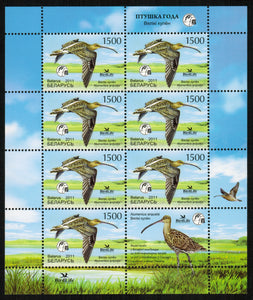 Belarus. 2011 Bird of the year. Eurasian Curlew. MNH