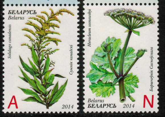 Belarus. 2014 Invasive Plants of Belarus. MNH