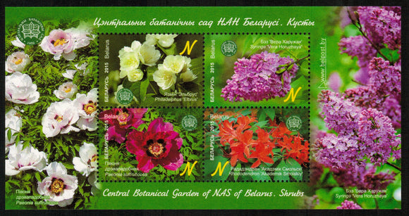 Belarus. 2015 The Central Botanical Garden of NAS. Shrubs. MNH
