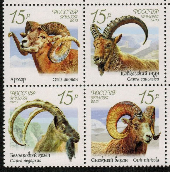 Russia. 2013 Fauna of Russia. Wild Goats and Rams. MNH