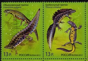 Russia. 2012 Fauna. Newts. MNH