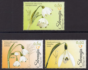 Slovenia. 2016 Flora. Amarylidaceae. MNH