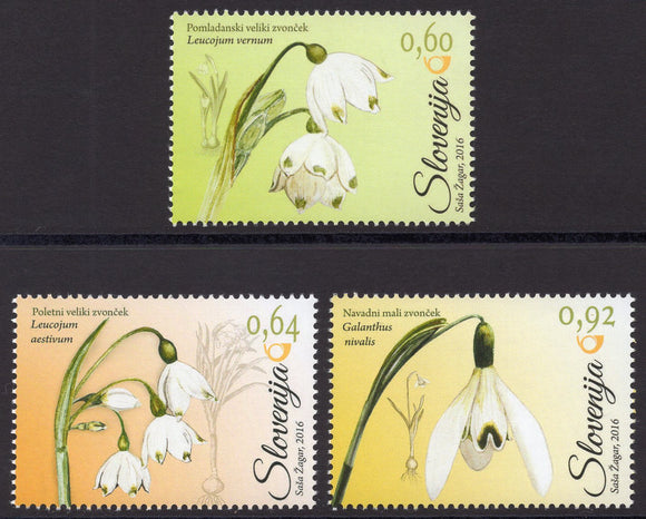 Slovenia. 2016 Flora. Amarylidaceae. MNH