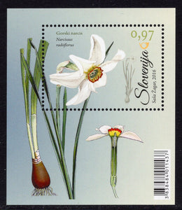 Slovenia. 2016 Flora. Amarylidaceae. MNH