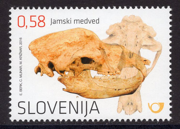 Slovenia. 2016 Mammal Fossils in Slovenia. Cave Bear. MNH
